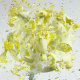 Illustration for article titled Flowers Shatter Like Glass Thanks to Liquid Nitrogen and an Air Gun